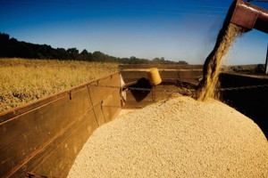 Mỹ ép đậu tương nhiều nhất lịch sử, mở đường cho cuộc cách mạng xanh