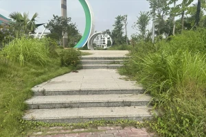 Vườn hoa cây xanh bị bỏ rơi?