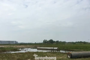 Cách nào giảm thuế sử dụng đất cho người dân?