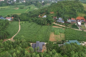 Gần 50 điểm nguy cơ sạt lở tại Ba Vì, Chủ tịch Hà Nội yêu cầu khẩn trương xử lý