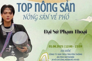 Phạm Thoại nhận làm 'đại sứ nông sản', Bộ Công Thương nói gì?