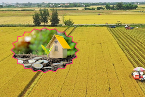 Chi tiết cách chuyển đổi đất nông nghiệp sang đất thổ cư mới nhất 2025