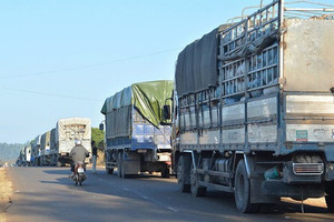 Tỉnh lớn thứ 2 Việt Nam đề xuất nâng cấp loạt quốc lộ và đường tỉnh kết nối cao tốc