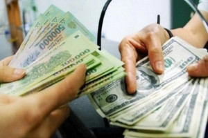 Tỷ giá hôm nay 1/8: Tỷ giá trung tâm lên mức 25.249 VND/USD