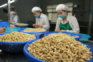 Trung Quốc và Mỹ đua nhau chốt đơn một loại nông sản chủ lực của Việt Nam, gần 90 quốc gia vào cuộc săn hàng