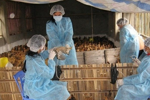 Doanh nghiệp tới tận trường săn đón, thu nhập 30 triệu đồng/tháng: Một ngành tại Học viện Nông nghiệp Việt Nam âm thầm lên ngôi