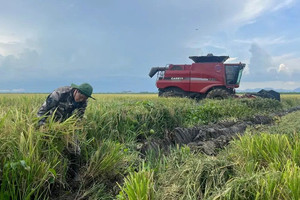 Cuba ‘mở cửa’ đất nông nghiệp sau 65 năm đóng kín, doanh nghiệp Việt làm nên lịch sử