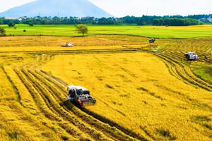 Nhà nước sẽ thu hồi đất nếu doanh nghiệp đạt thỏa thuận trên 75%?