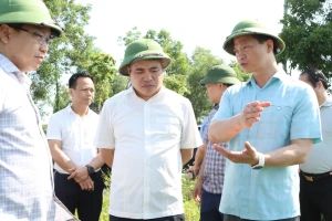 Chủ tịch tỉnh Bắc Ninh kiểm tra khu phố trung tâm 'hễ mưa là ngập'