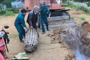 Chở lợn nhiễm dịch tả lên miền núi tiêu thụ bị bắt quả tang
