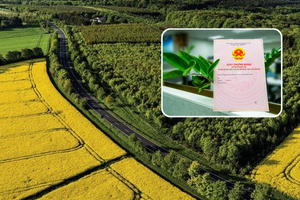 Từ nay, chuyển đất nông nghiệp trong khu dân cư thành đất ở có được cấp sổ đỏ?