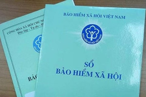 Bảo hiểm xã hội TP.HCM phát cảnh báo khẩn