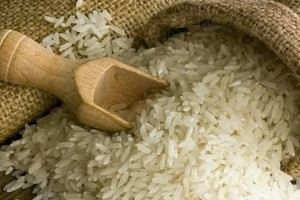 Kim ngạch xuất khẩu ‘hạt ngọc trời’ của Việt Nam sụt giảm trong nửa đầu năm 2025