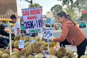 Bất ngờ sầu riêng giá 35.000 đồng/kg: 'Bao ăn, bao đổi'