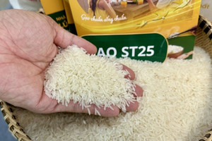 Giá gạo châu Á ‘lao dốc không phanh’, Việt Nam lội ngược dòng lên Top 1 tạo nên kỳ tích đáng nể