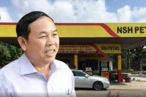 PSH lần đầu trắng doanh thu: Ôm nợ 10.000 tỷ, trả lãi chưa nổi 1 tỷ đồng