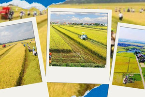 Vài giờ nữa, Chính phủ sẽ họp bàn nội dung quan trọng về lĩnh vực đất đai