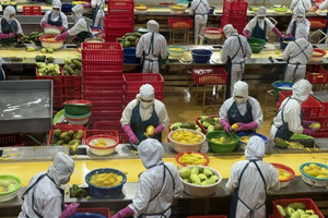 Xuất khẩu nông, lâm, thủy sản đạt gần 40 tỷ USD, cà phê thiết lập kỷ lục mới