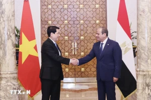Việt Nam và Ai Cập nâng cấp quan hệ lên Đối tác toàn diện