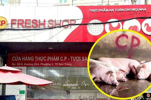 Công an triệu tập người 'tố' Công ty C.P. Việt Nam bán thịt heo bệnh