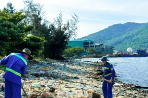Rác thải ngập ngụa, bốc mùi hôi thối ở vịnh Mân Quang