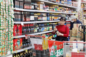 Tiêu dùng nội địa tăng tốc, bán lẻ hàng hóa và dịch vụ sôi động trong 7 tháng