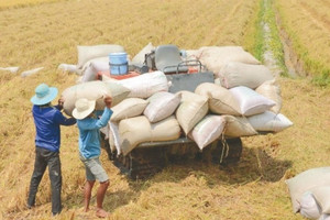 Xuất khẩu gạo Việt Nam đứng thứ 2 thế giới