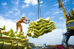 Thị trường lớn nhất thế giới đột ngột dừng nhập khẩu gạo, doanh nghiệp Việt có gặp 'sóng lớn'?