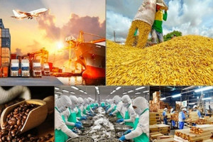 Việt Nam xuất siêu 10 tỷ USD sau 7 tháng, nhập siêu từ Trung Quốc lập đỉnh