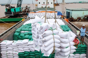 Quốc gia Đông Nam Á nhập khẩu gạo lớn nhất thế giới đột ngột ‘bẻ lái’, thị trường gạo Việt Nam có bị ảnh hưởng?