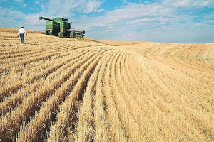 Giá phân bón chưa hạ nhiệt, cổ phiếu DPM, DCM 'cháy hàng'