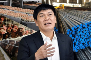 Từ 'không biết sợ là gì', vua thép Hòa Phát (HPG) vững chân sau một thập kỷ bước vào nông nghiệp: Đã đến lúc tính lại chiến lược?
