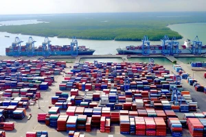 Bắt giữ nhiều lô hàng giả mạo xuất xứ Việt Nam đi Mỹ