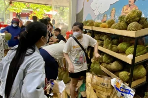 Sầu riêng giá rẻ 'đổ bộ' Hà Nội, 1 ngày bán gần 3 tấn