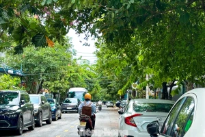 Loạt tuyến đường ở Đà Nẵng biến thành bãi đậu xe