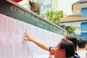 Chứng chỉ IELTS thành 'phao cứu sinh'