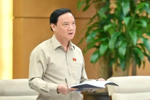 Phó Chủ tịch Quốc hội: 'Lấy một ông giám đốc về làm vụ trưởng rất hay'