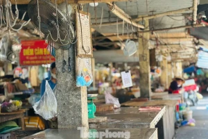 Nhiều sạp hàng đóng cửa vì dịch tả lợn châu Phi