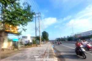 Thu hồi dự án nhà ở bỏ hoang 17 năm trên 'đất vàng' TPHCM