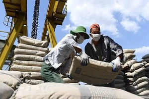 Ngành xi măng 'đổi vận': Loạt doanh nghiệp thoát lỗ ngoạn mục, lợi nhuận đạt cao nhất nhiều năm