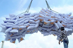 Gạo Việt Nam đón nhận tin vui khi Philippines gấp rút gom hàng trước ‘giờ G’