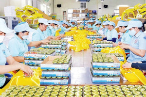 Phát hiện hơn 30 đơn vị 'đạo’ thương hiệu Yến sào Khánh Hoà chỉ trong vài tháng