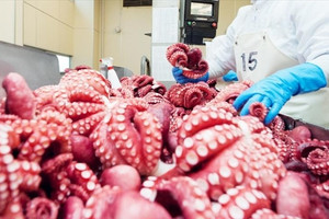 Mặt hàng thủy sản của Việt Nam đang đắt hàng tại Hàn Quốc, nhập hơn 100 triệu USD, chiếm 36% tổng kim ngạch