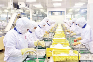 Thuế và vốn đè nặng, các hiệp hội xuất khẩu đồng loạt kiến nghị gỡ khó