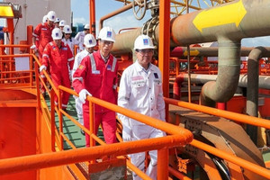 Việt Nam có một ngành học lọt top thế giới 4 năm liền, doanh nghiệp trả lương nghìn đô vẫn 'cháy nhân lực'