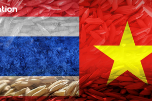 Thái Lan đẩy mạnh xuất khẩu 'hạt ngọc trời' sang 5 thị trường châu Á, quyết cạnh tranh với Việt Nam