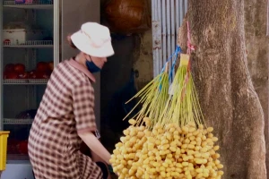 Chà là tươi Thái Lan giá rẻ bán khắp Hà Nội