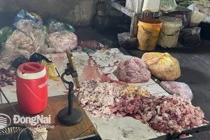 Phát hiện 24 ổ dịch tả heo châu Phi ở Đồng Nai