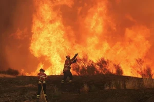 Châu Âu vật vã với cháy rừng và nắng nóng khốc liệt