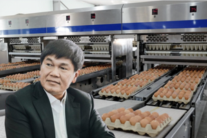 Giá trứng tăng cao, Hòa Phát (HPG) 'hái quả ngọt' với 1 triệu quả bán ra mỗi ngày